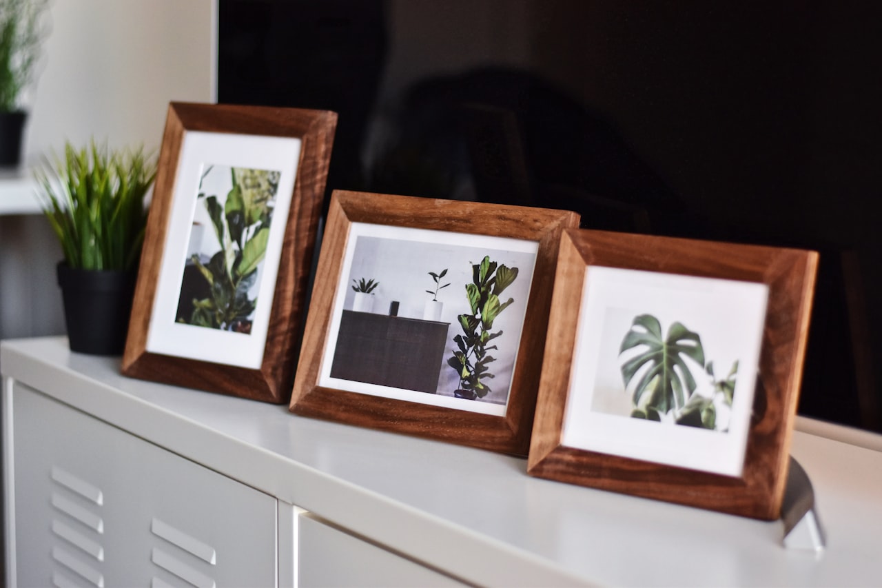Trije leseni okvirji s fotografijami rastlin na beli komodi